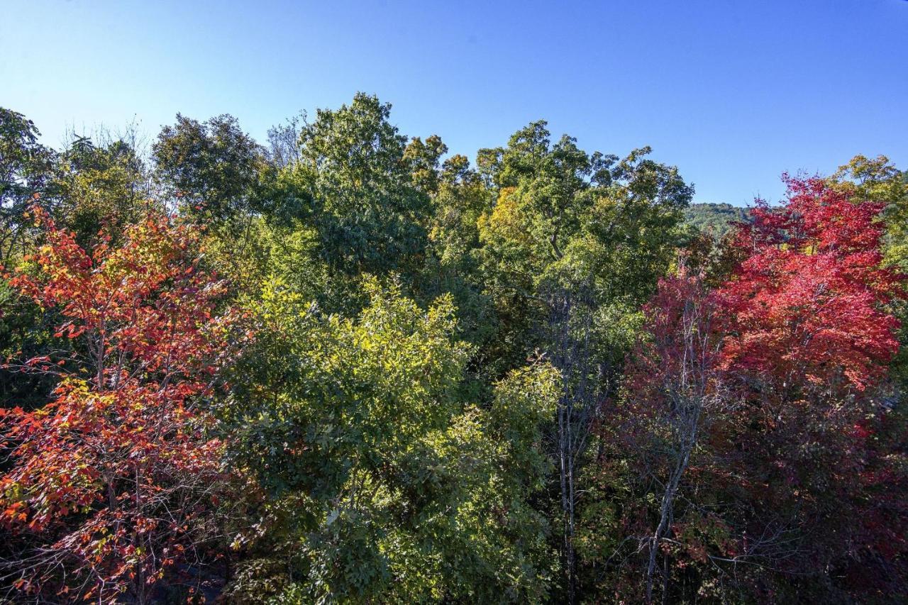 Er244 - Black Hawk Hideaway * Pigeon Forge