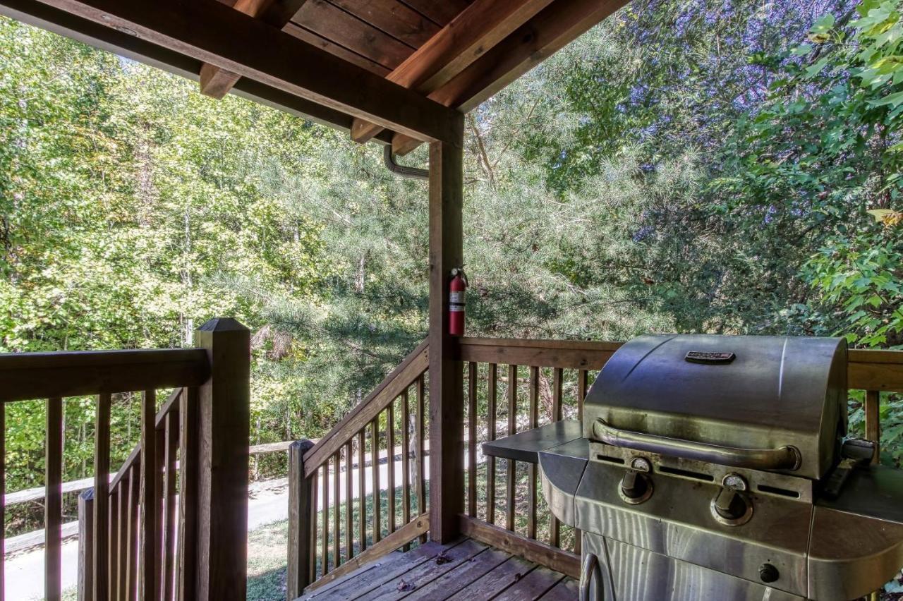Er227 - Bearry Pigeon Forge