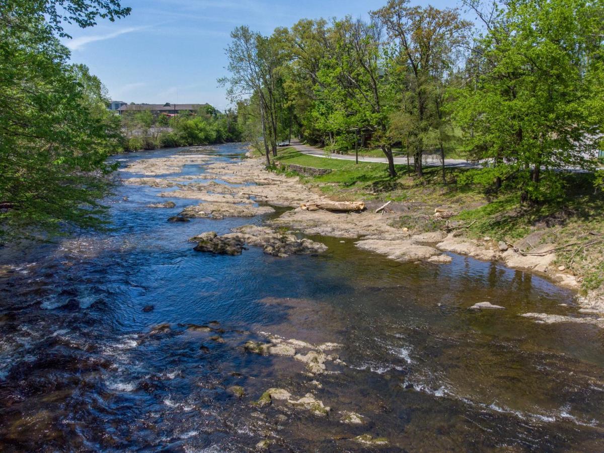 River Romp Cedar 505