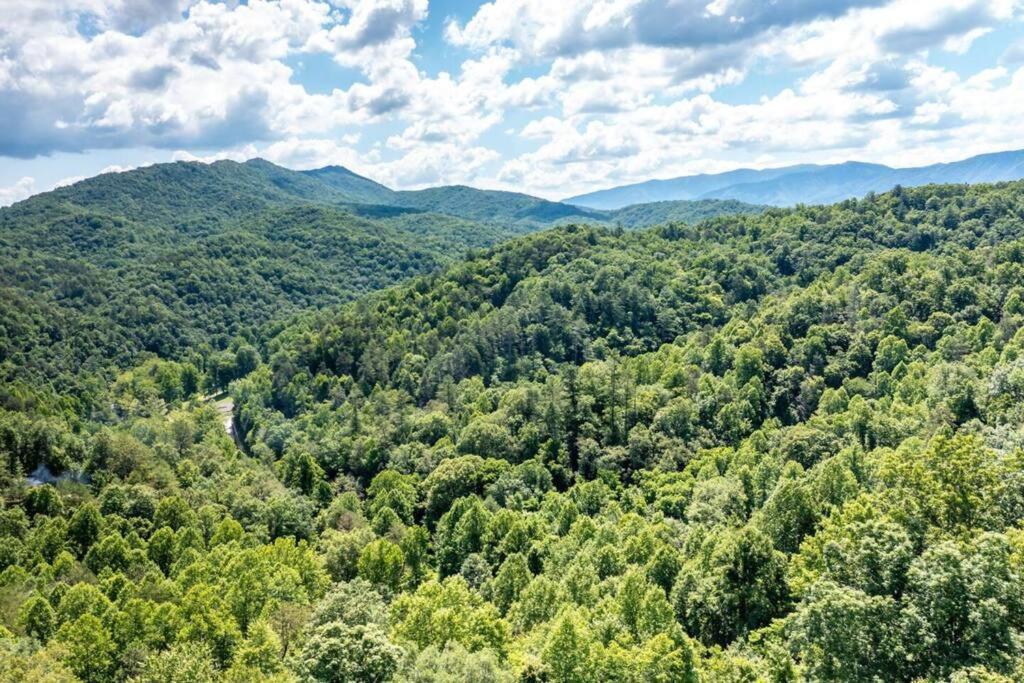 Holiday home Romantic Gem, 2 Acres, Hot Tub, Free Pet, King Bed Pigeon Forge