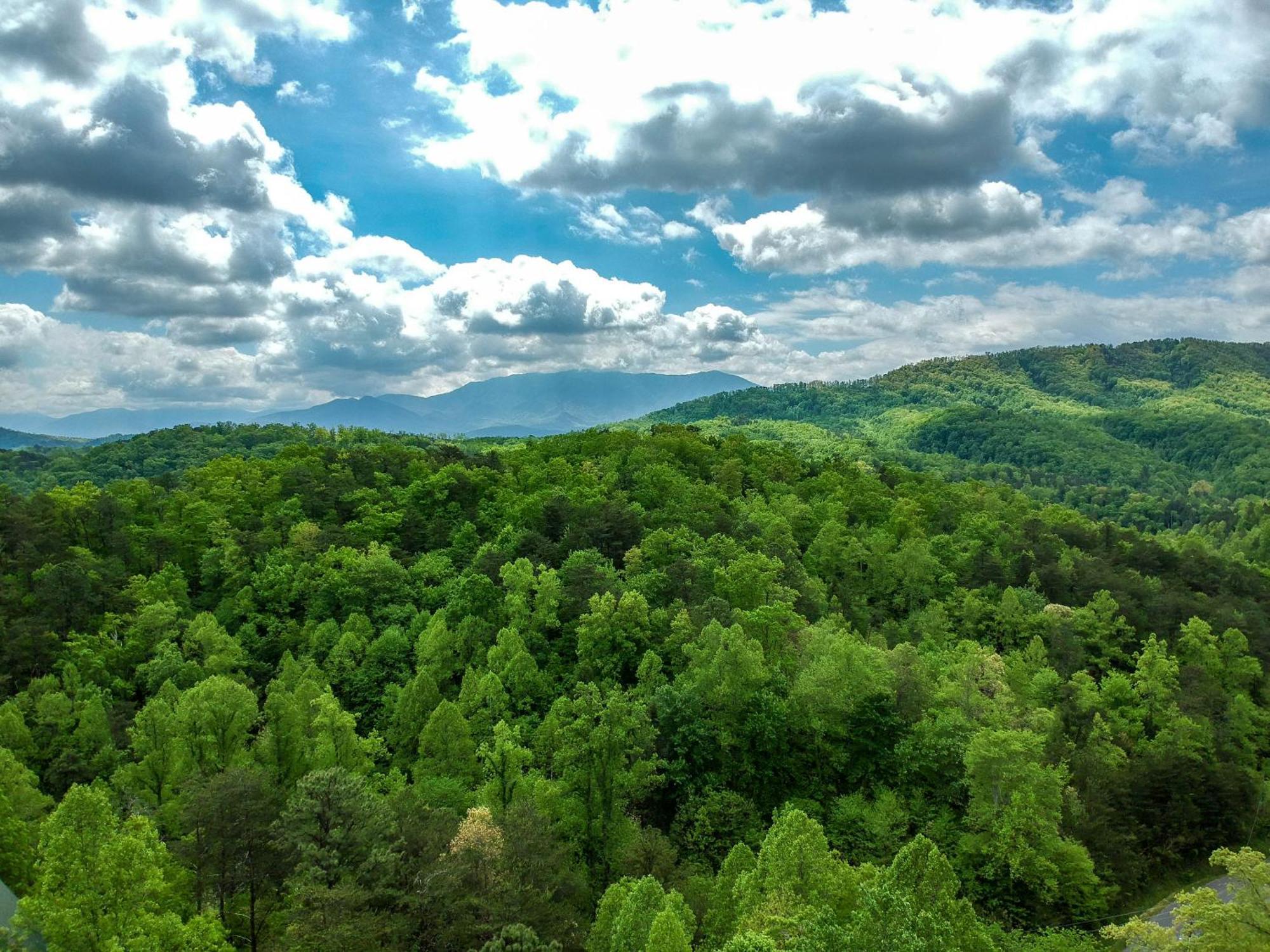 Forget Me Not Holiday home Pigeon Forge