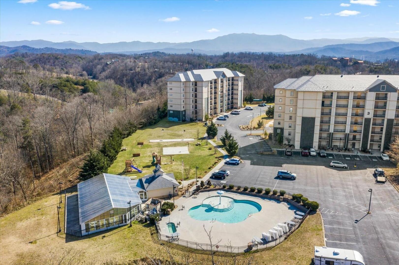 A Bear's Hibernation Pigeon Forge