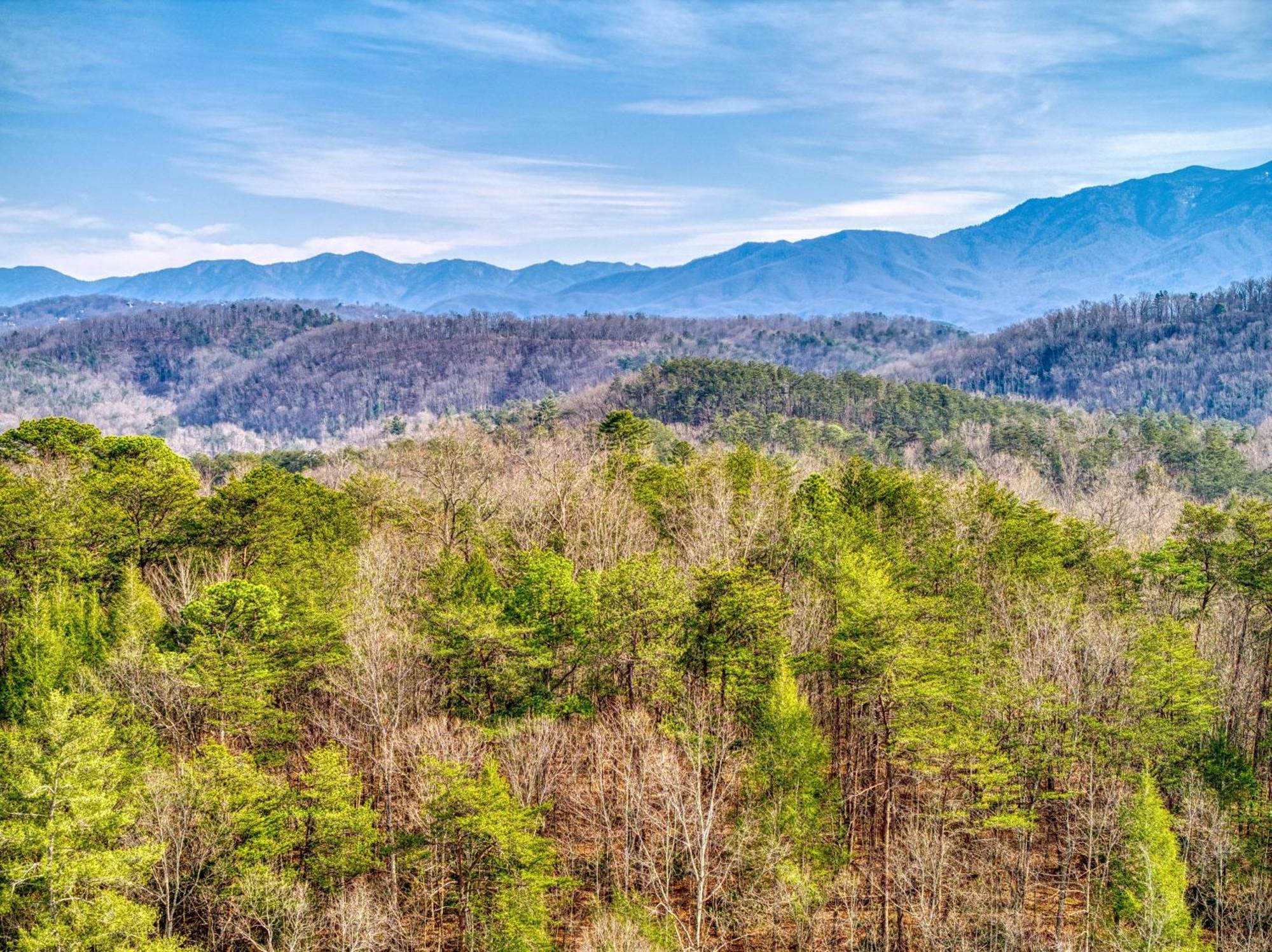 Holiday home Bear-e-nice - In Pigeon Forge, Pool, Free Attraction Tickets