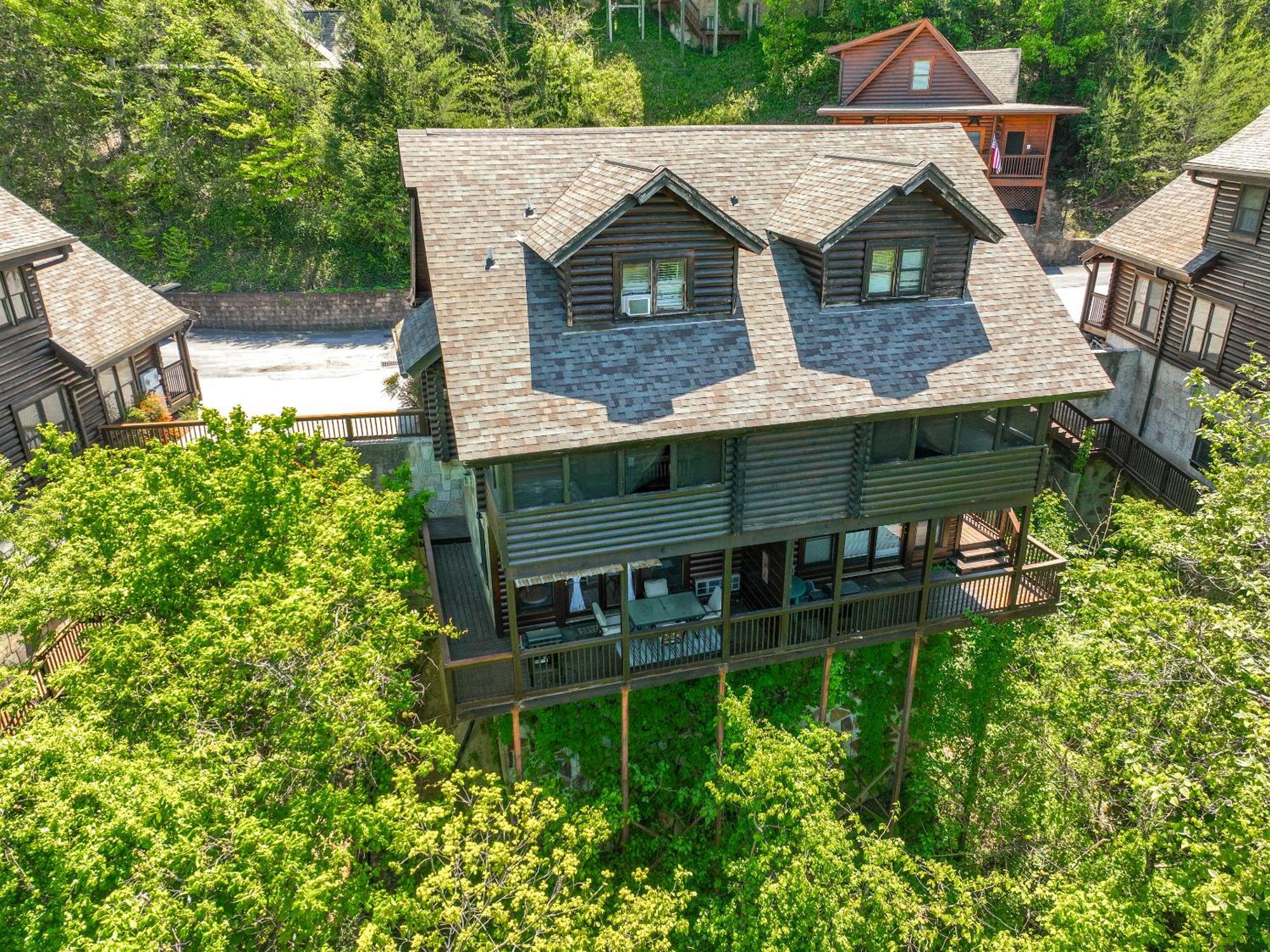Bears Fore-rest Pigeon Forge