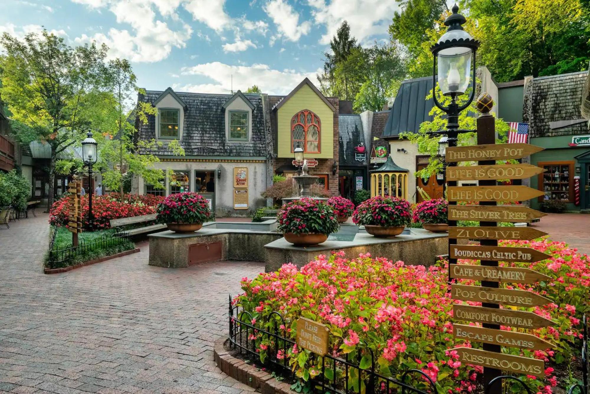 Views 1br15bath Pet-friendly With Hot Tub & Bbq Holiday home Pigeon Forge
