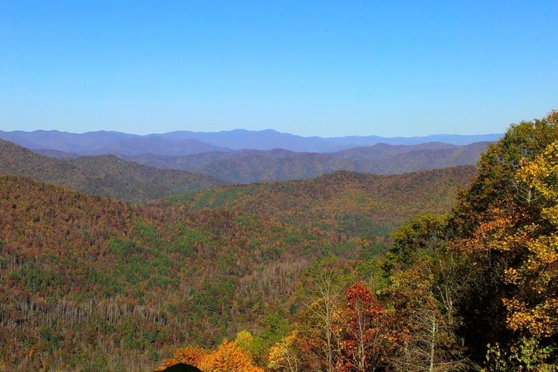 Knot A Pigeon Forge