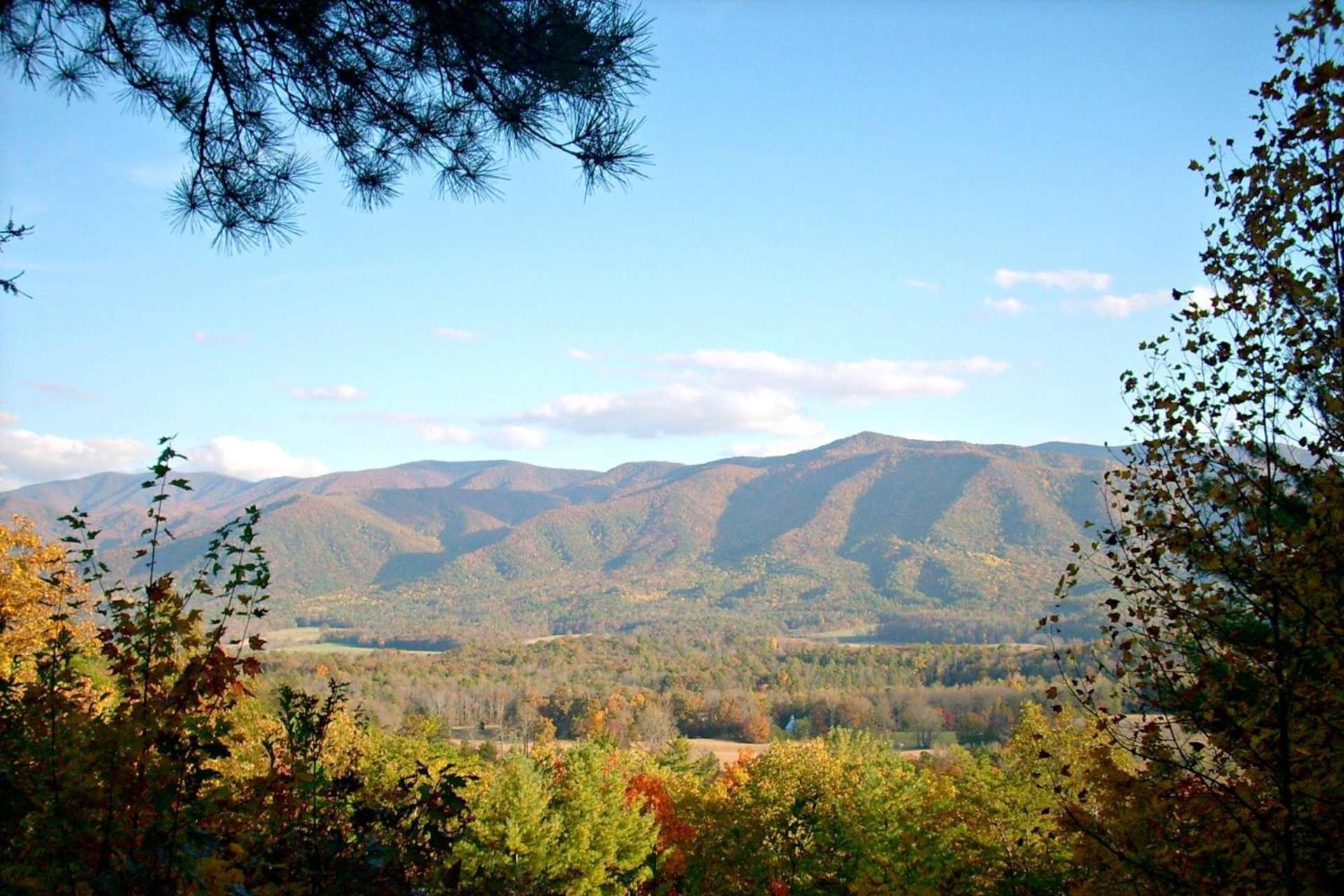 Knot A Pigeon Forge