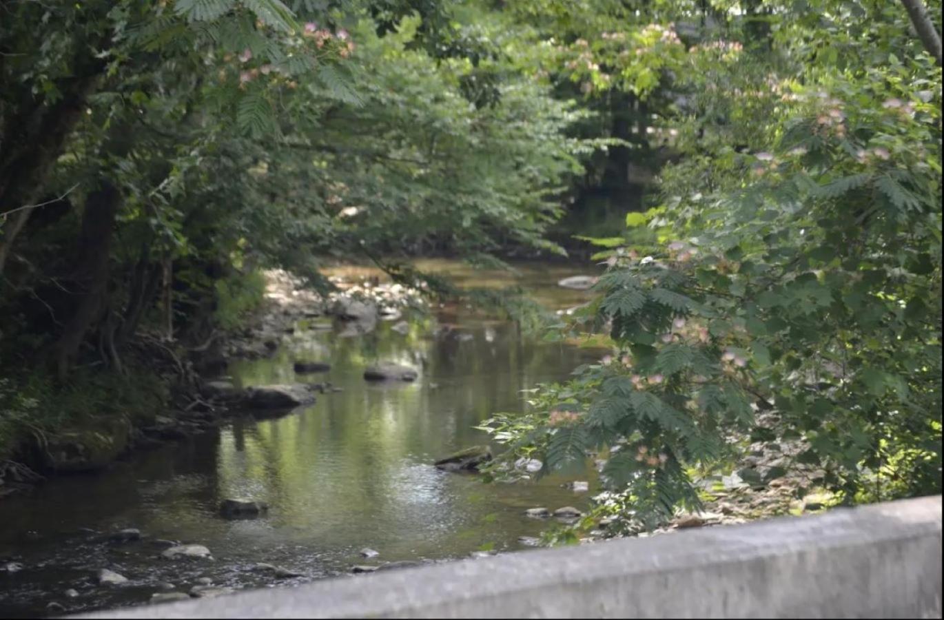 Creekside Cottage*hot Tub*entire Home-pigeon Forge Holiday home Pigeon Forge