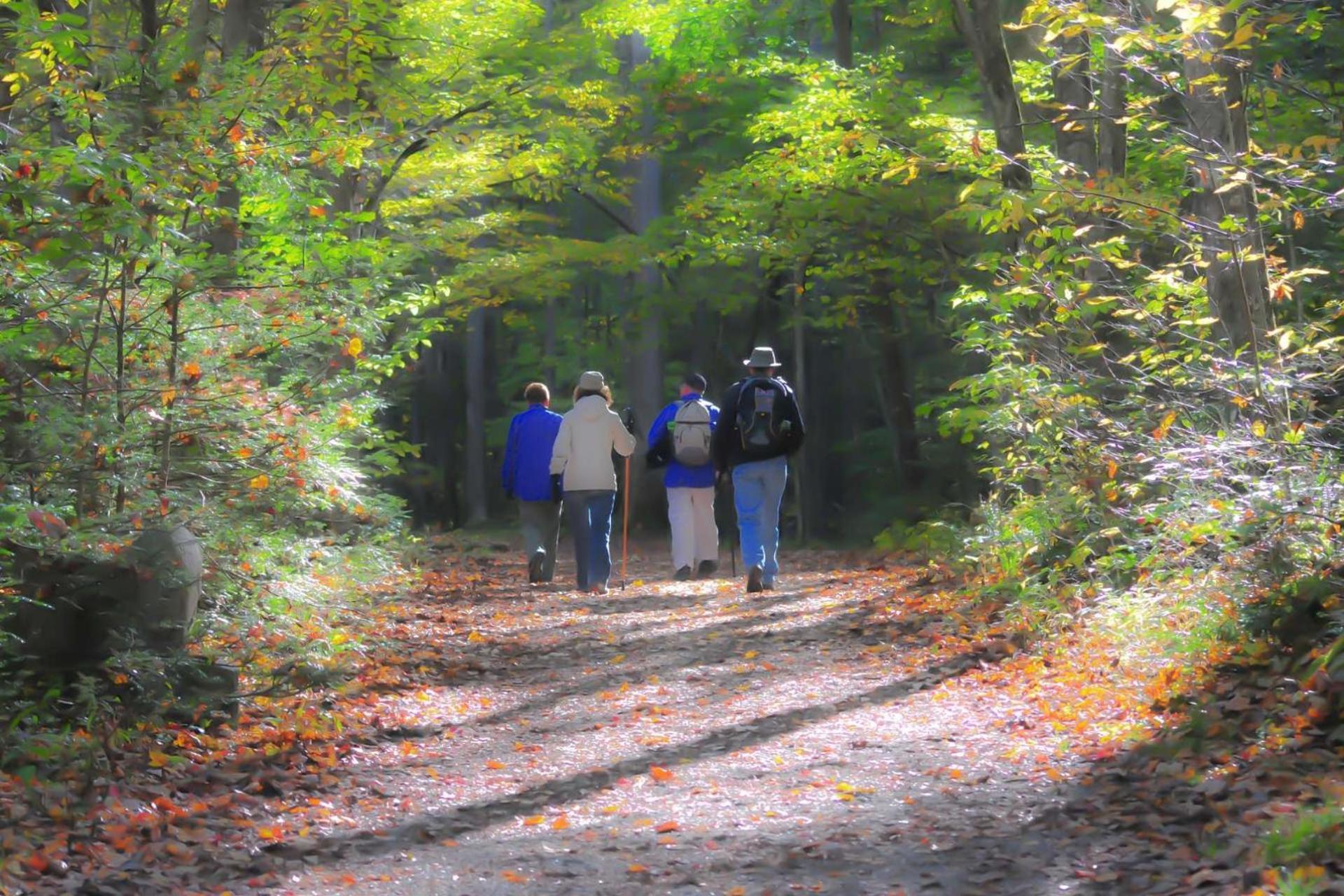 Hidden Hollow * Pigeon Forge