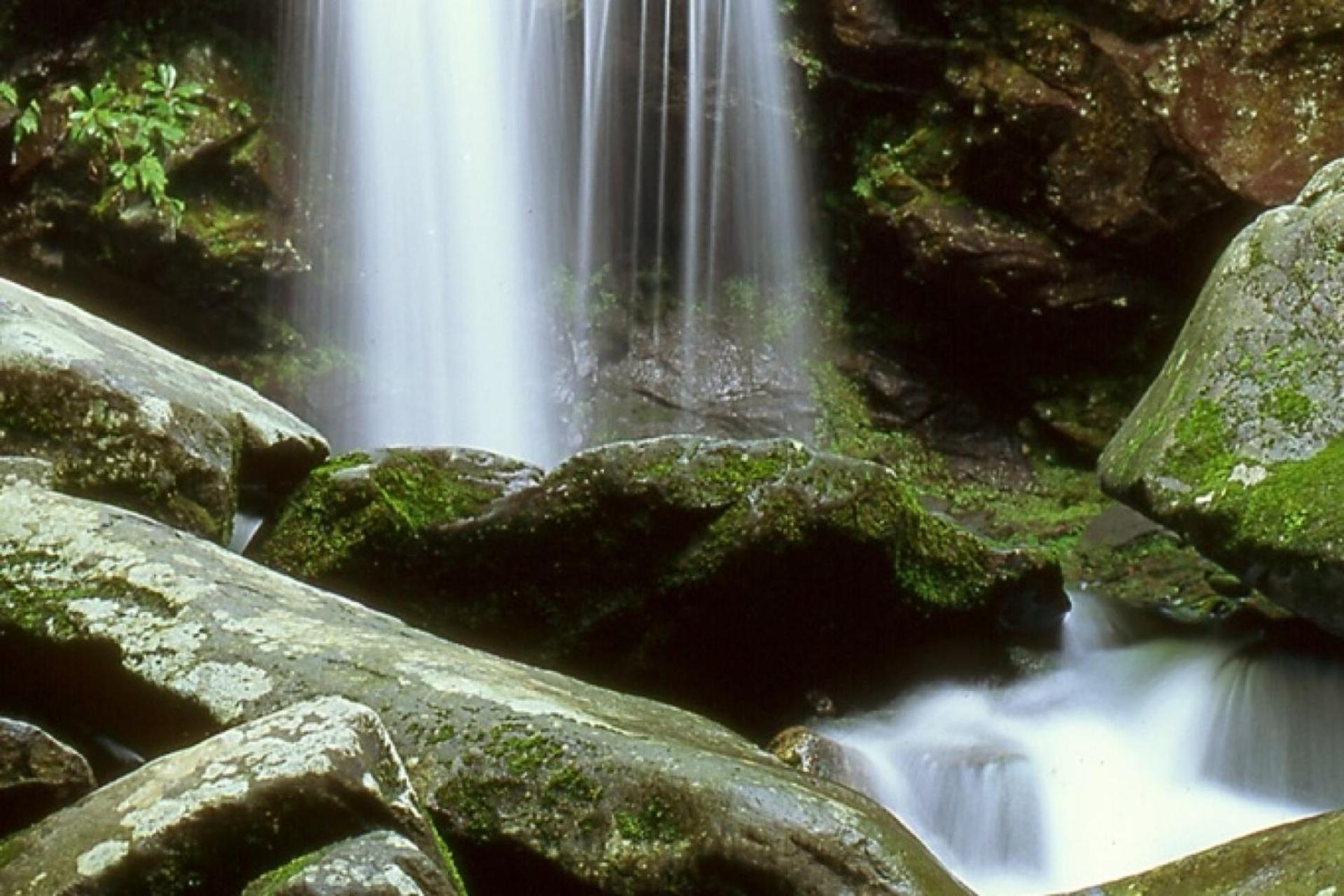 Hidden Hollow *