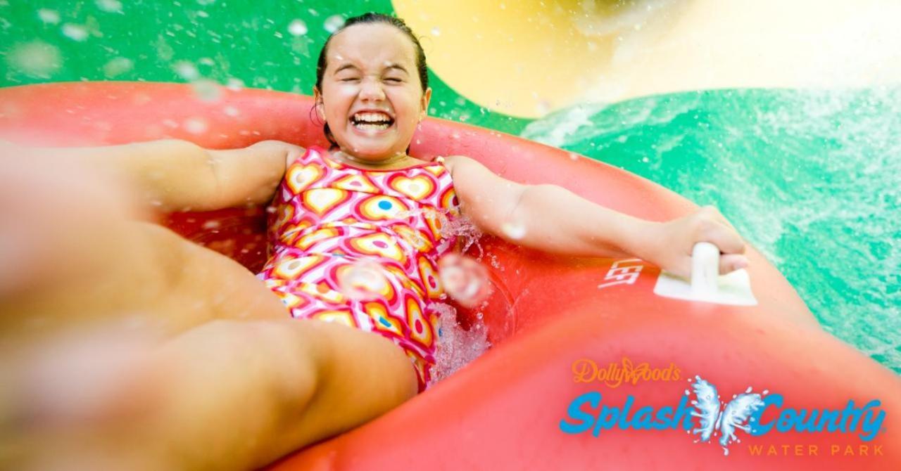 A Bear's Alpine Splash * Pigeon Forge