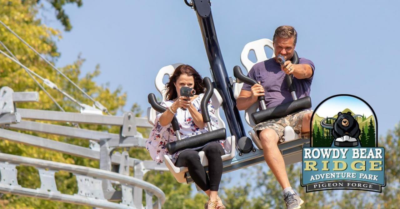 A Bear's Alpine Splash Pigeon Forge