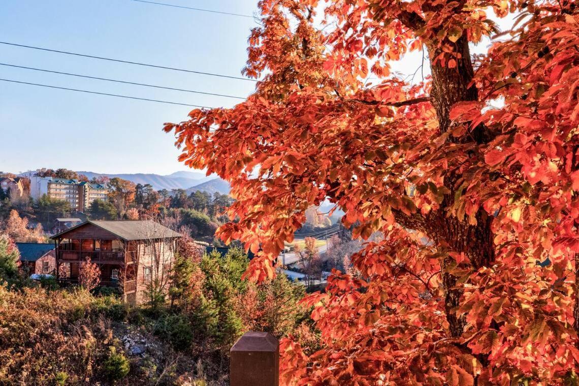 Southern Comfort Lodge-in Pigeon Forge, Sleeps 18-7br 6ba Luxury Cabin, W Free Attraction Ticket! *