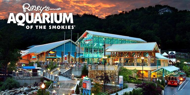 Modern Style, Arcade, Fire Pit, Pet Friendly * Pigeon Forge