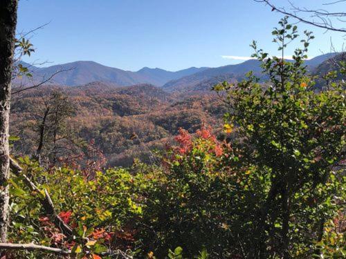 Holiday home Modern Style, Arcade, Fire Pit, Pet Friendly Pigeon Forge
