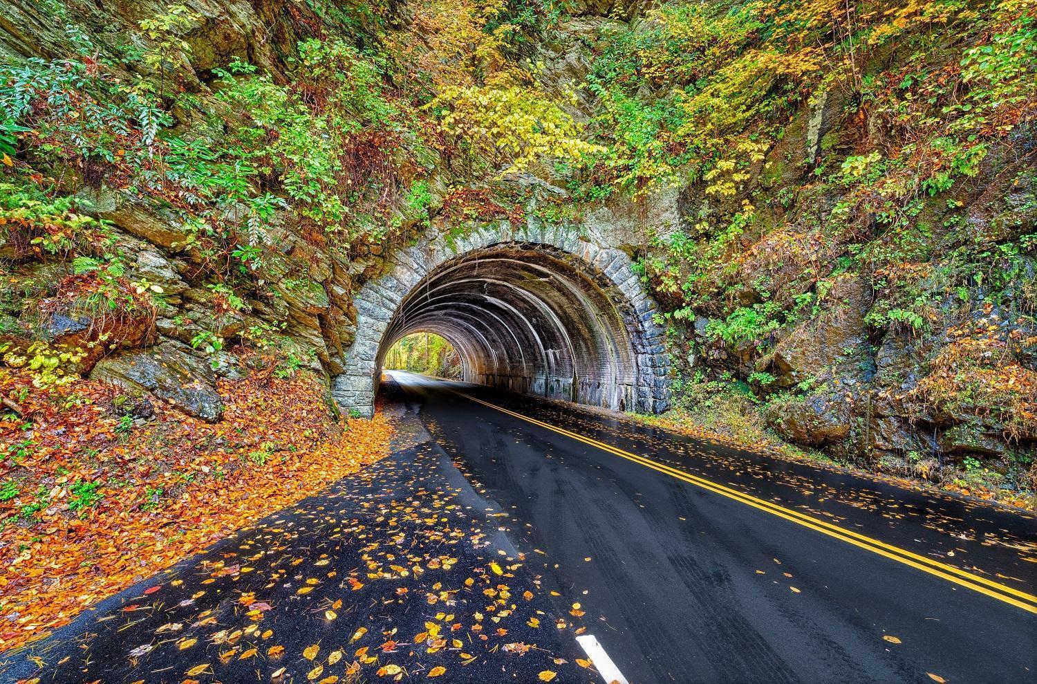 Happy Trails, Pool, 1089 Of Free Attraction Tickets For Each Paid Day, Dollywood And