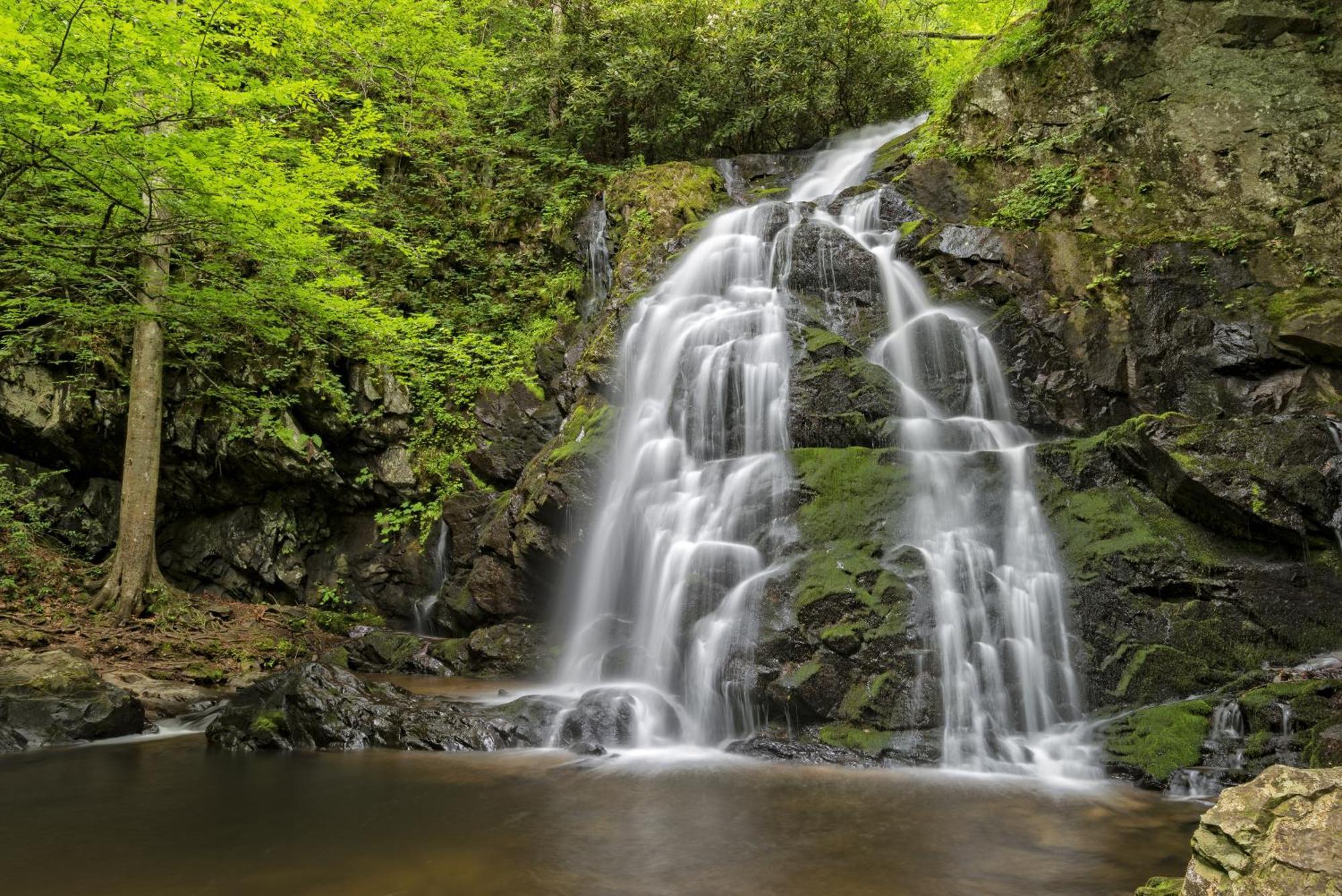 Stones Throw- Get 1089 In Free Attraction Tickets, Dollywood And More, Pool, Game Holiday home *
