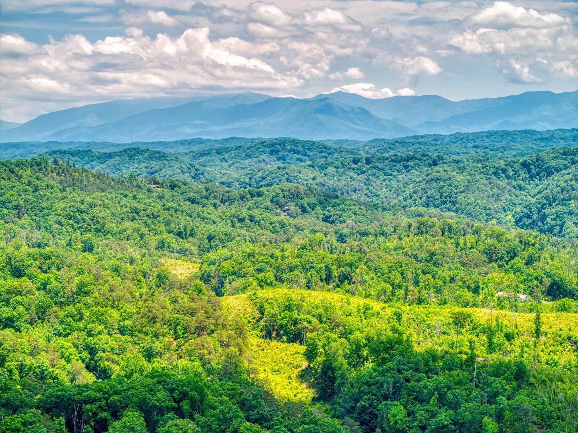 Cozy Bear Hill, Pool, 1089 Of Free Attraction Tickets For Each Paid Day, Dollywood And More! * Pigeon Forge