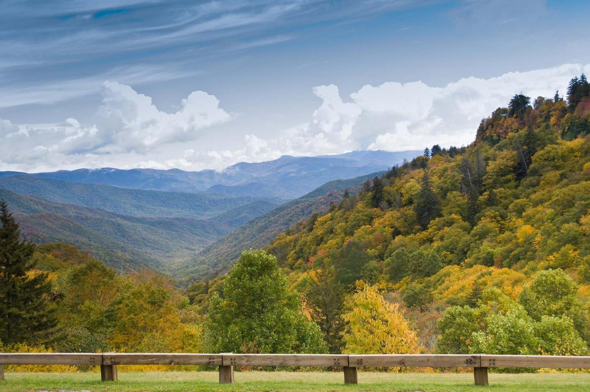 Er299 - Possum Hollow Pigeon Forge