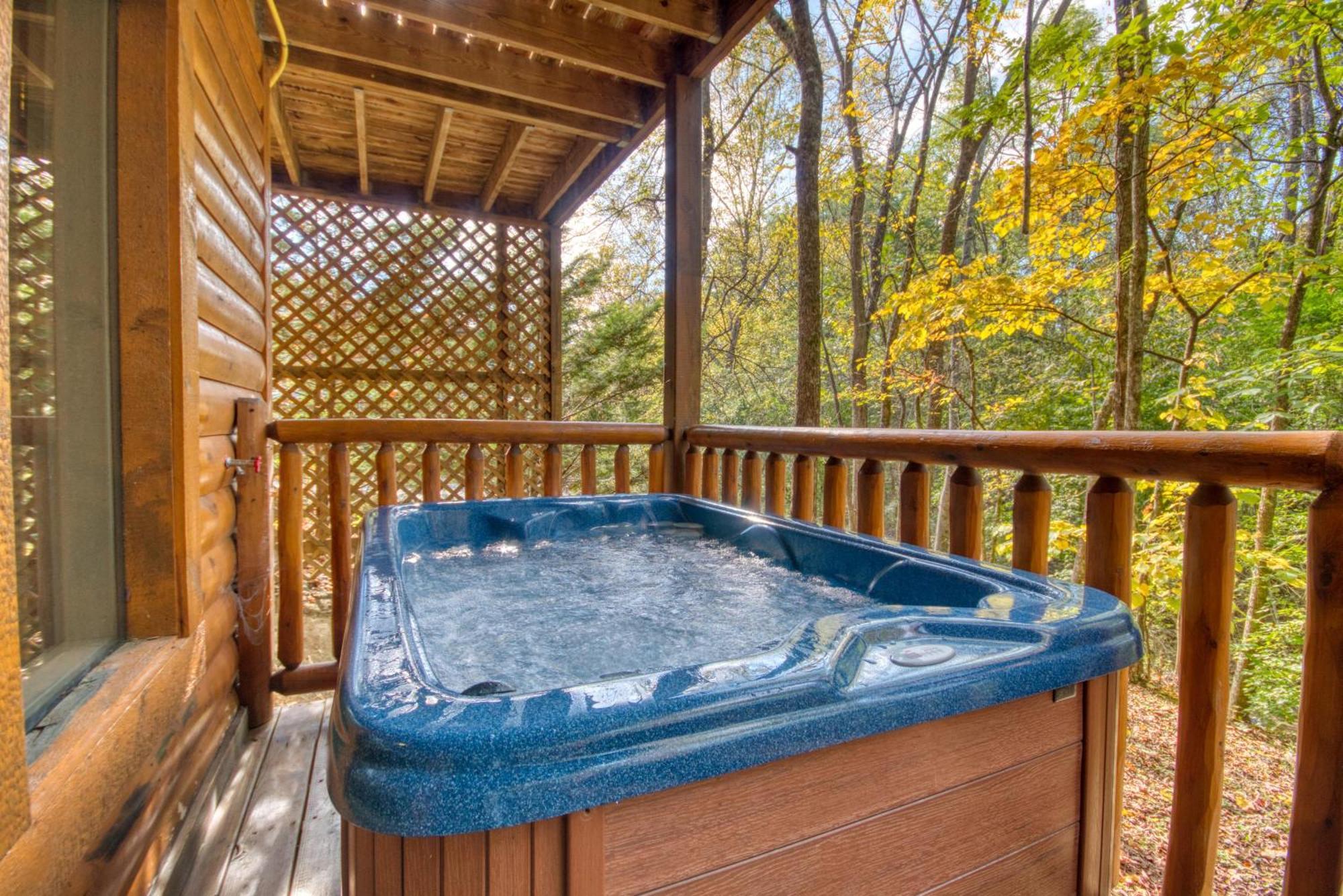 Skinny Dippin' #261 * Pigeon Forge