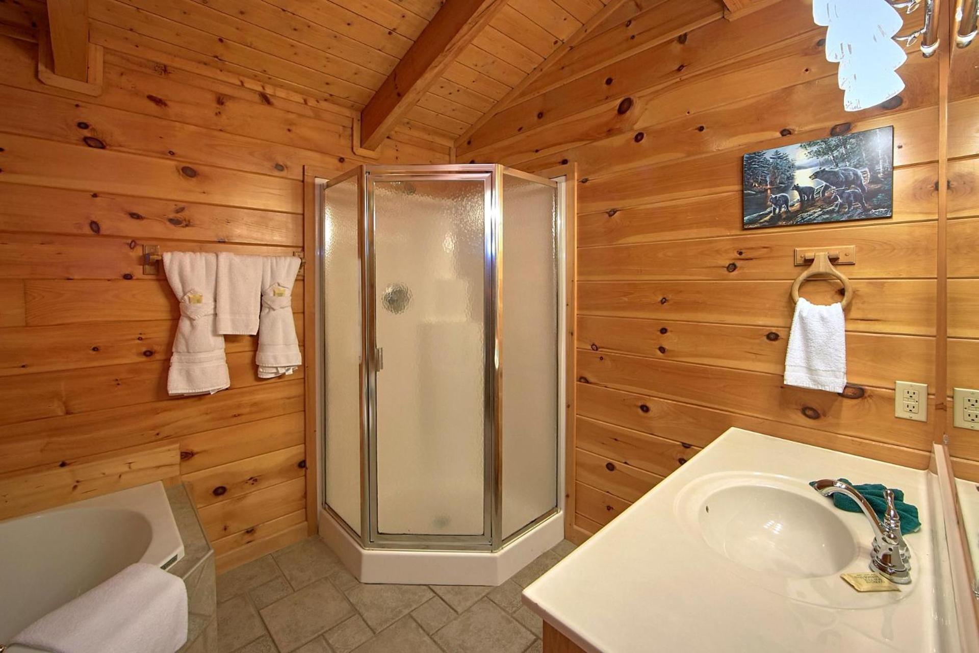 Boulder Bear #355 Holiday home Pigeon Forge