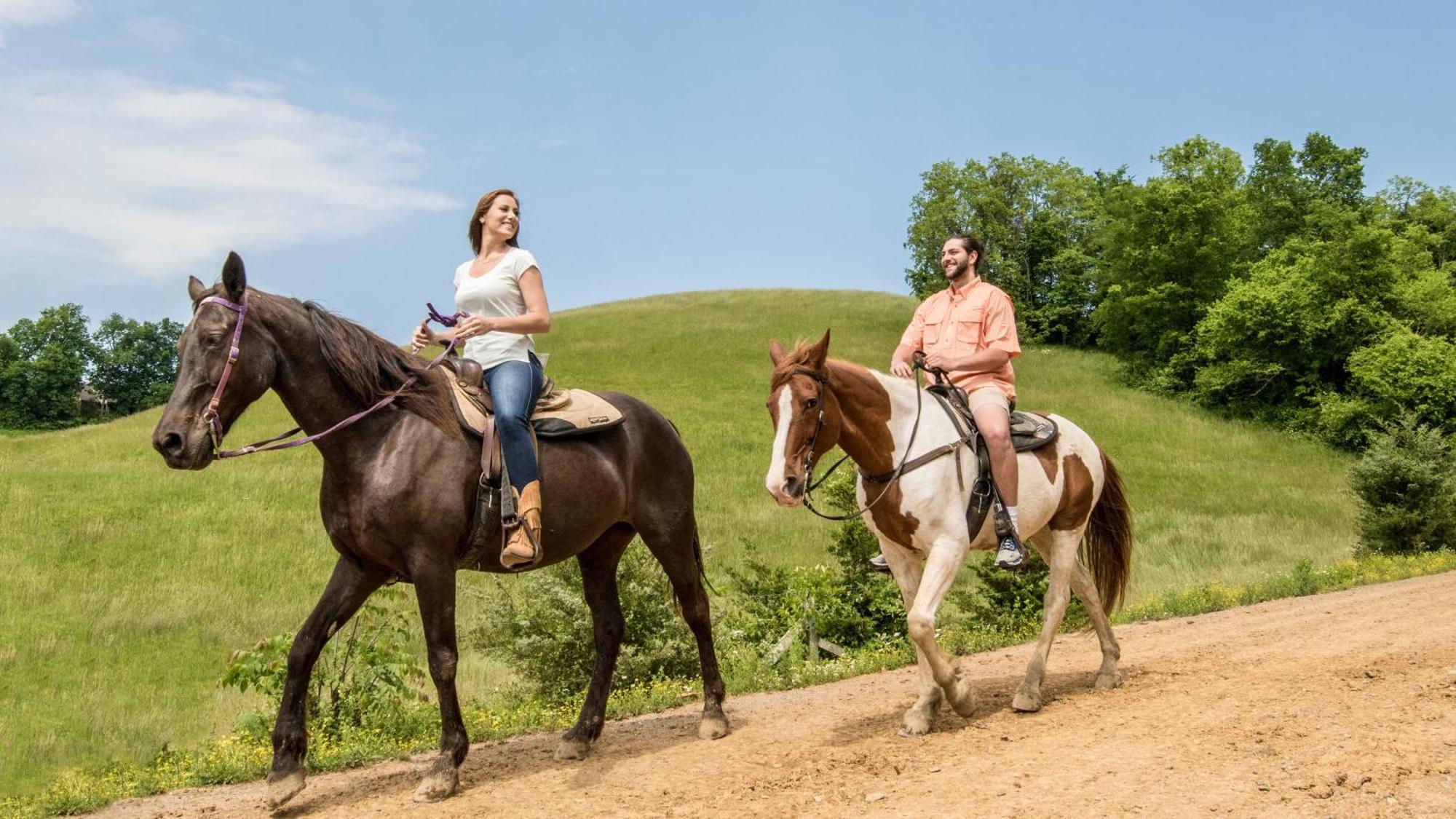 Smoky's Bliss * Pigeon Forge