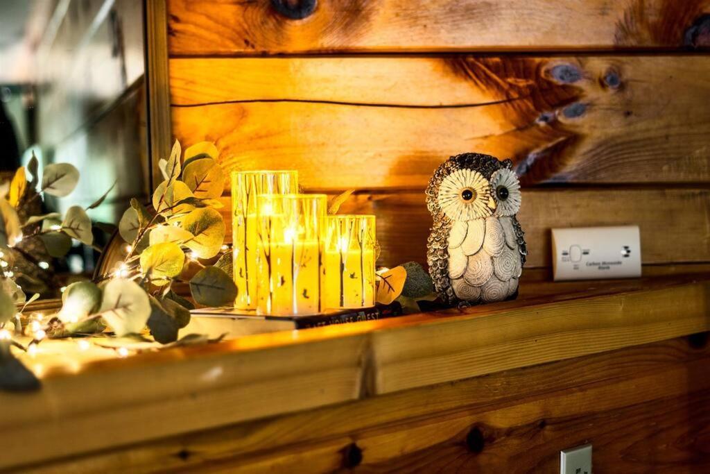 Private! Hot Tub! Parkway 2min! Petsok! Bbq! Holiday home Pigeon Forge