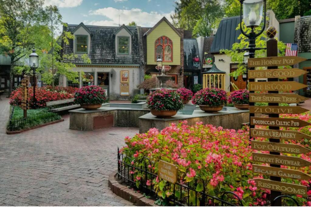 Private! Hot Tub! Parkway 2min! Petsok! Bbq! Pigeon Forge