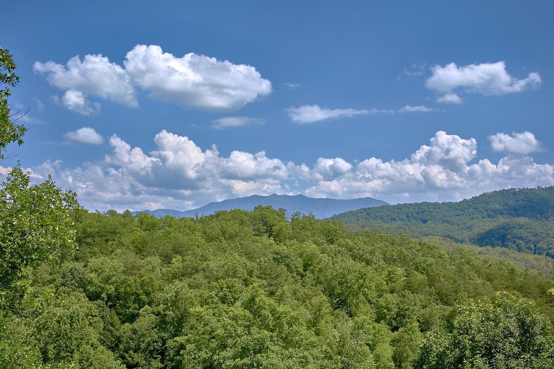 A Mountain View Theater Holiday * Pigeon Forge
