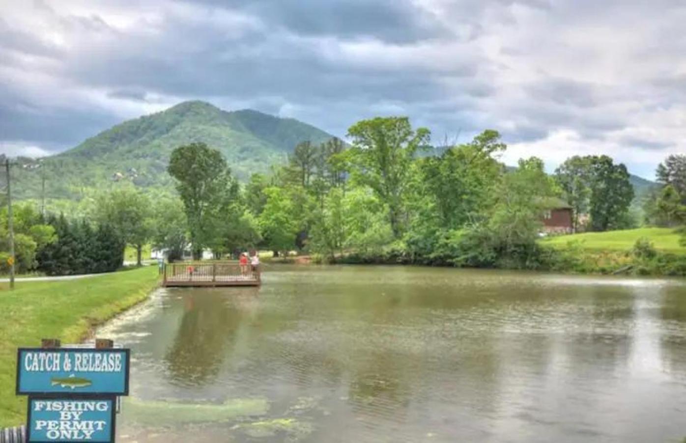 Holiday home Awe-inspiring Estate Wpool, Theater, Fire Pit Pigeon Forge