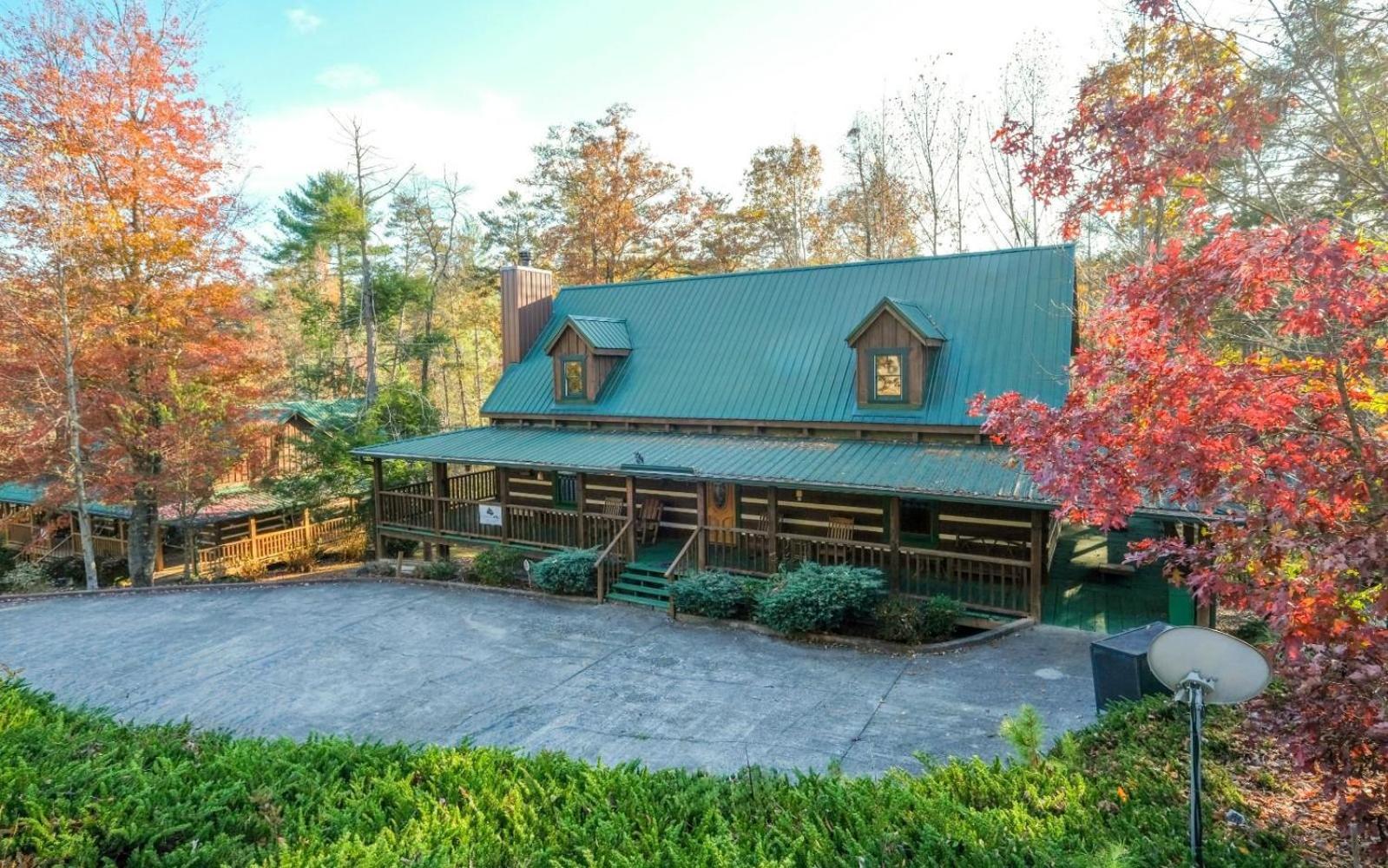 Laughing Bear * Pigeon Forge