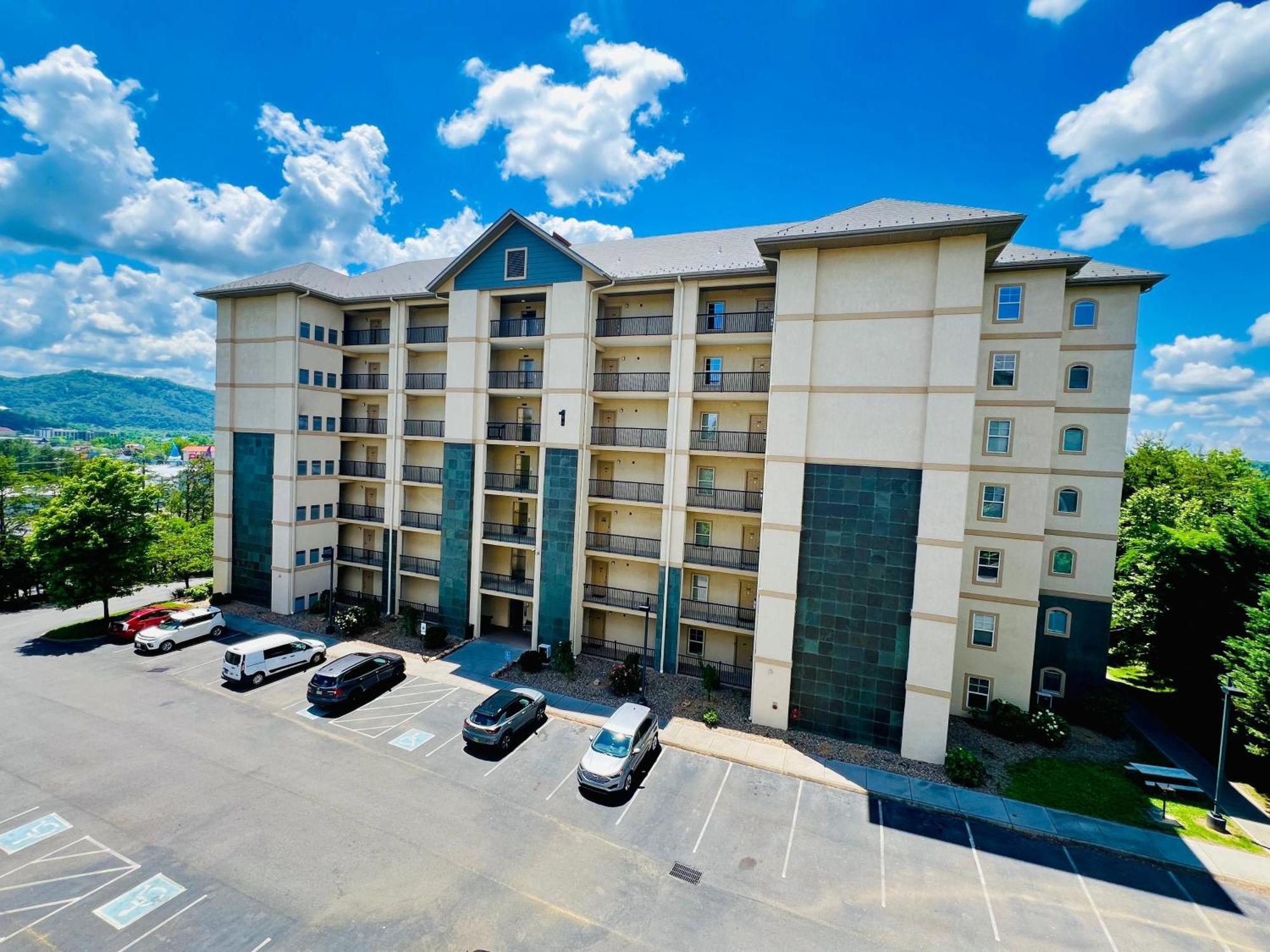 A Bear's Hibernation Pigeon Forge