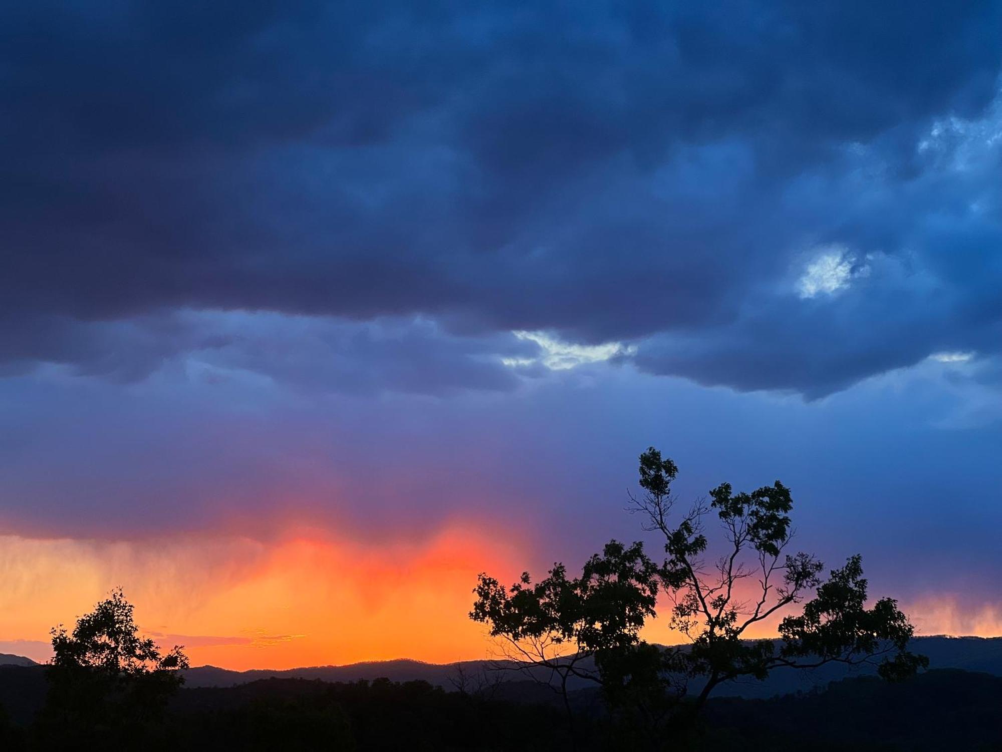 Smoky - Glowing Twilight Pigeon Forge