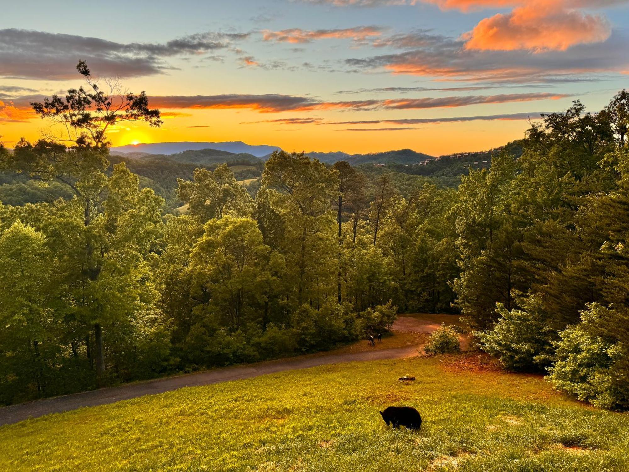 Smoky - Glowing Twilight Holiday home Pigeon Forge