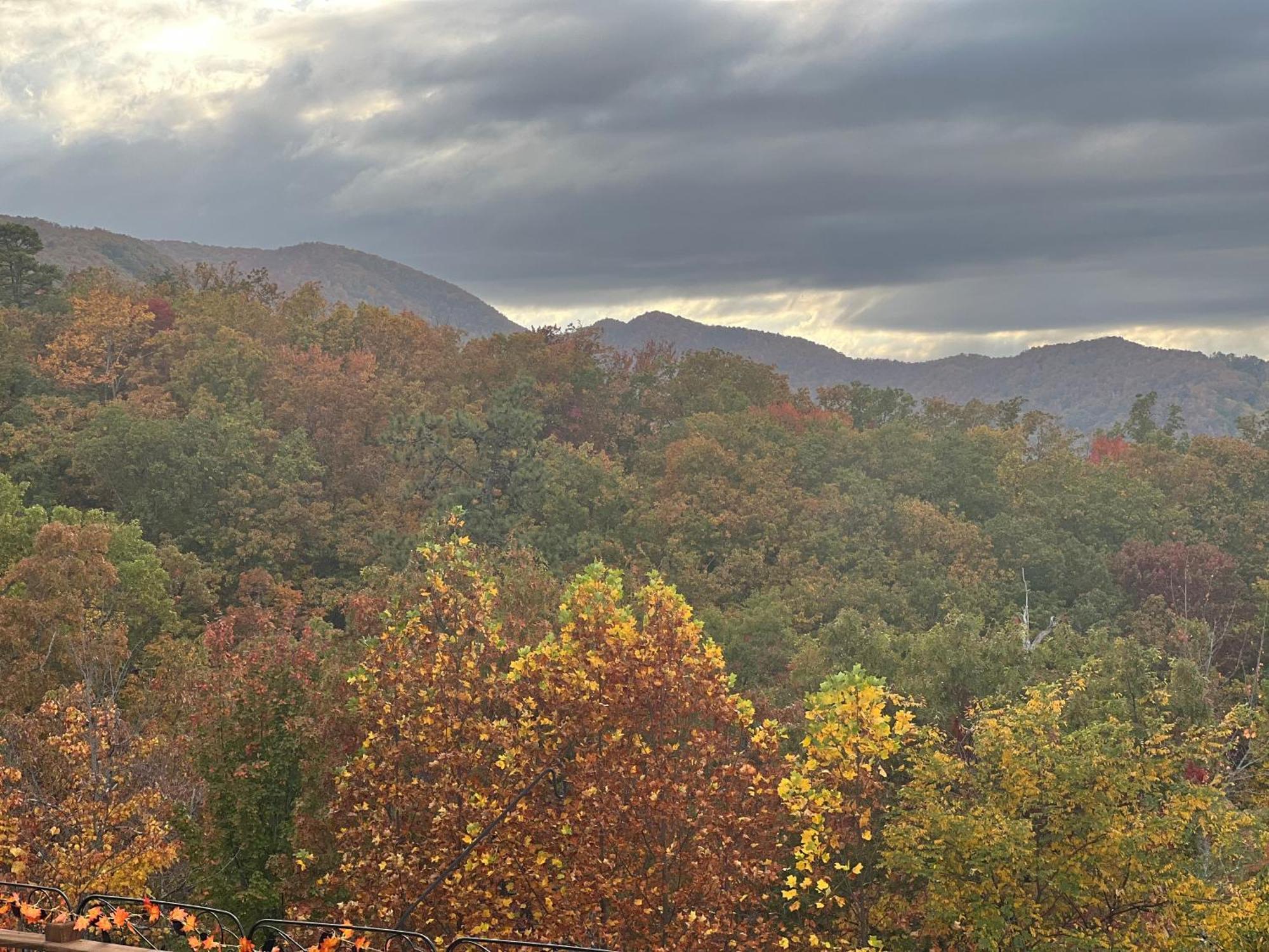 Smoky - Glowing Twilight Pigeon Forge