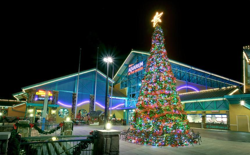 A Mountain View Theater Holiday * Pigeon Forge