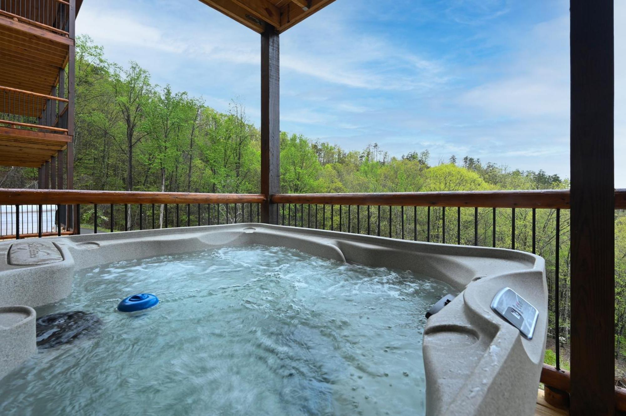 Lodge Fuzzy's Den Pigeon Forge