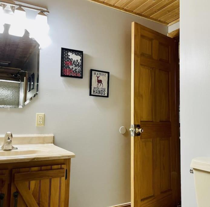 Rustic Black Bear