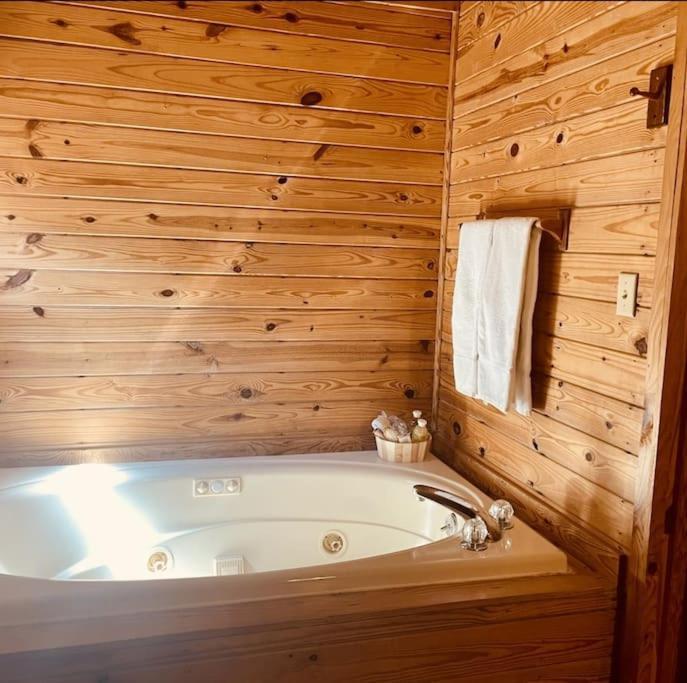 Rustic Black Bear Holiday home Pigeon Forge