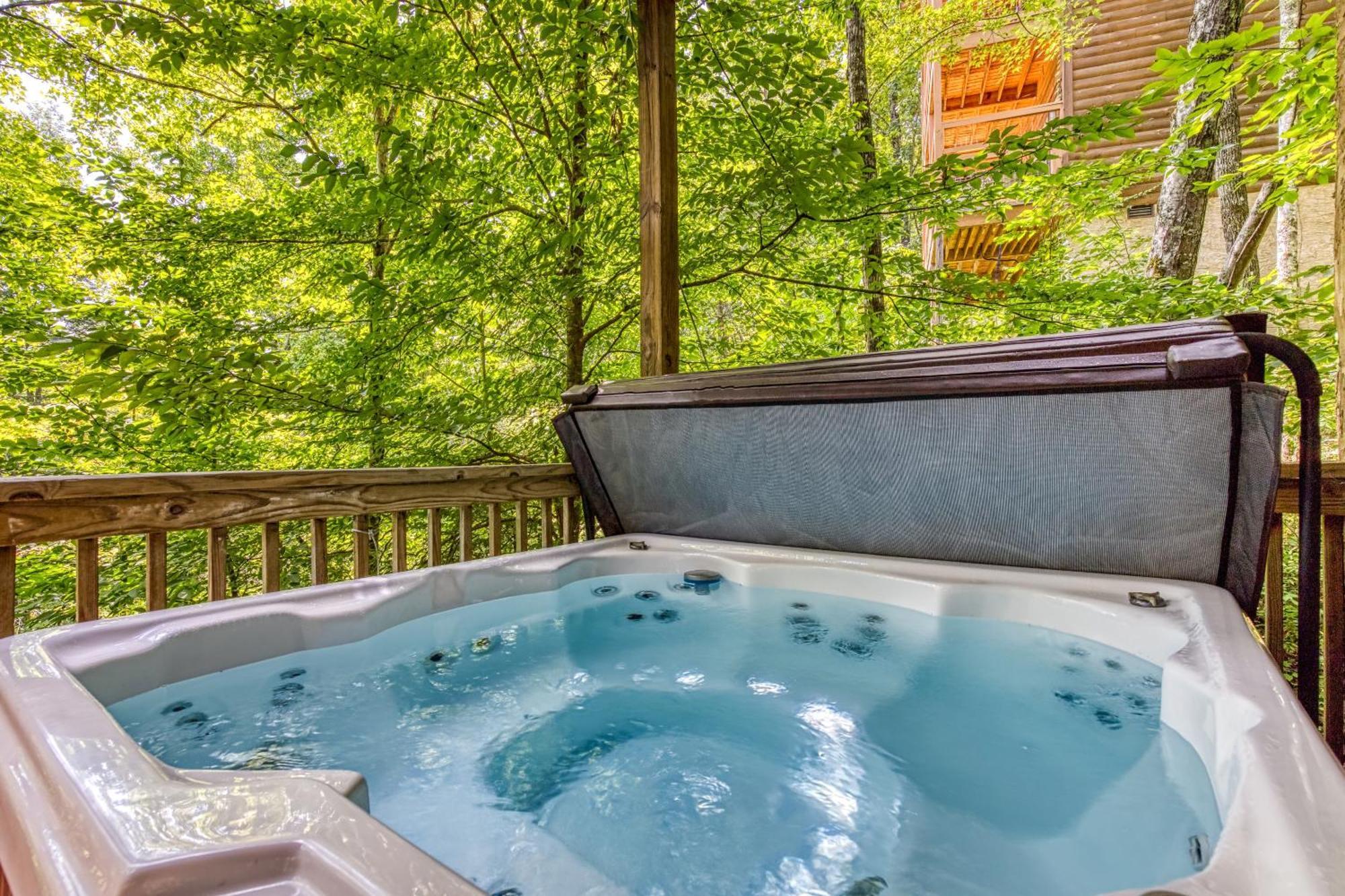Bear-e-nice - In Pigeon Forge, Pool, Free Attraction Tickets