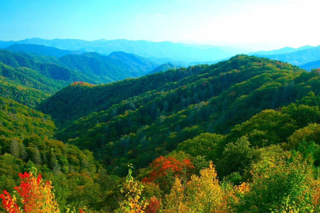 Modern Style, Arcade, Fire Pit, Pet Friendly Holiday home Pigeon Forge