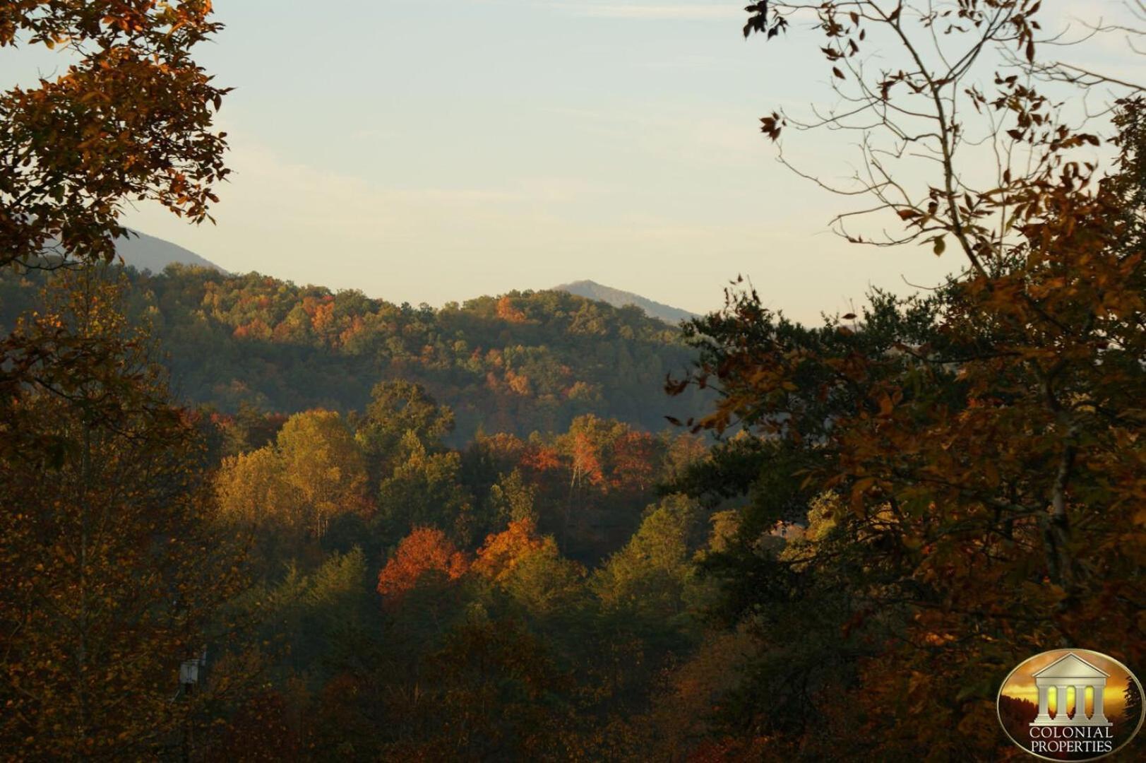 Cozy 2br Just 10 Min To Pkwy! Holiday home Pigeon Forge