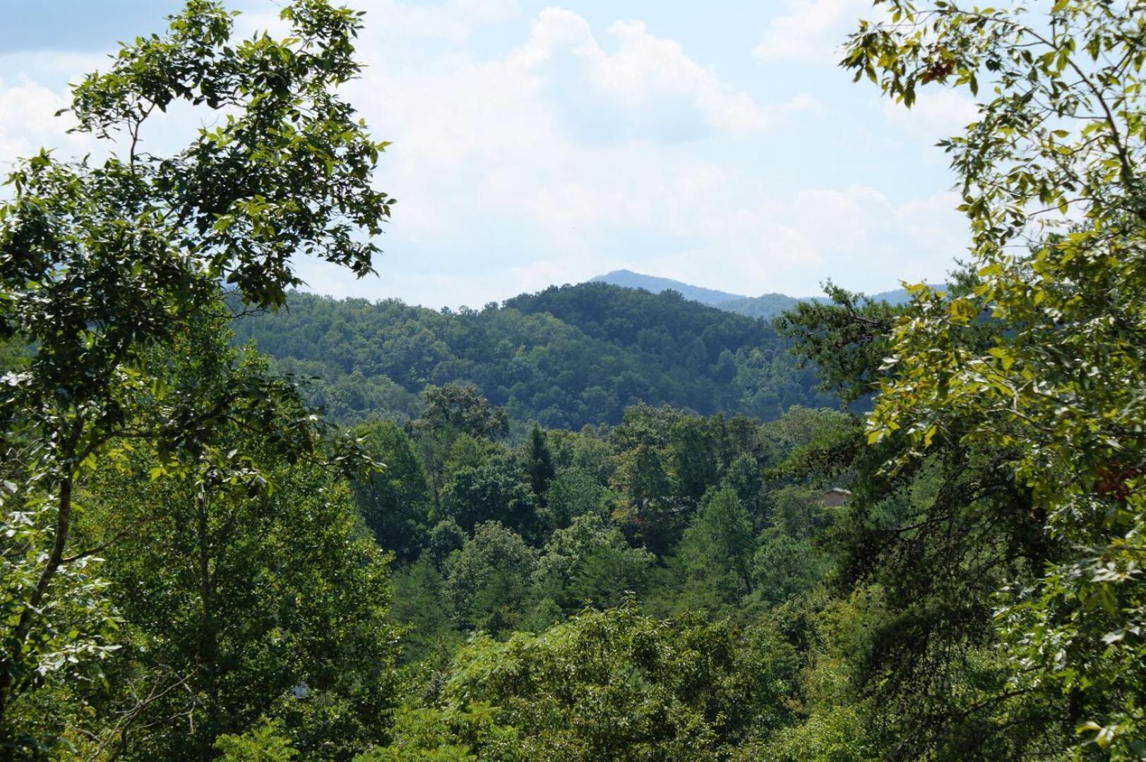 Cozy 2br Just 10 Min To Pkwy! Pigeon Forge
