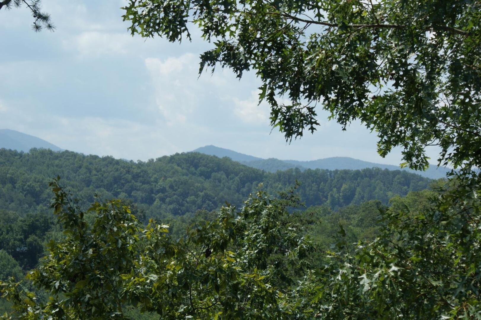 Cozy 2br Just 10 Min To Pkwy! Pigeon Forge