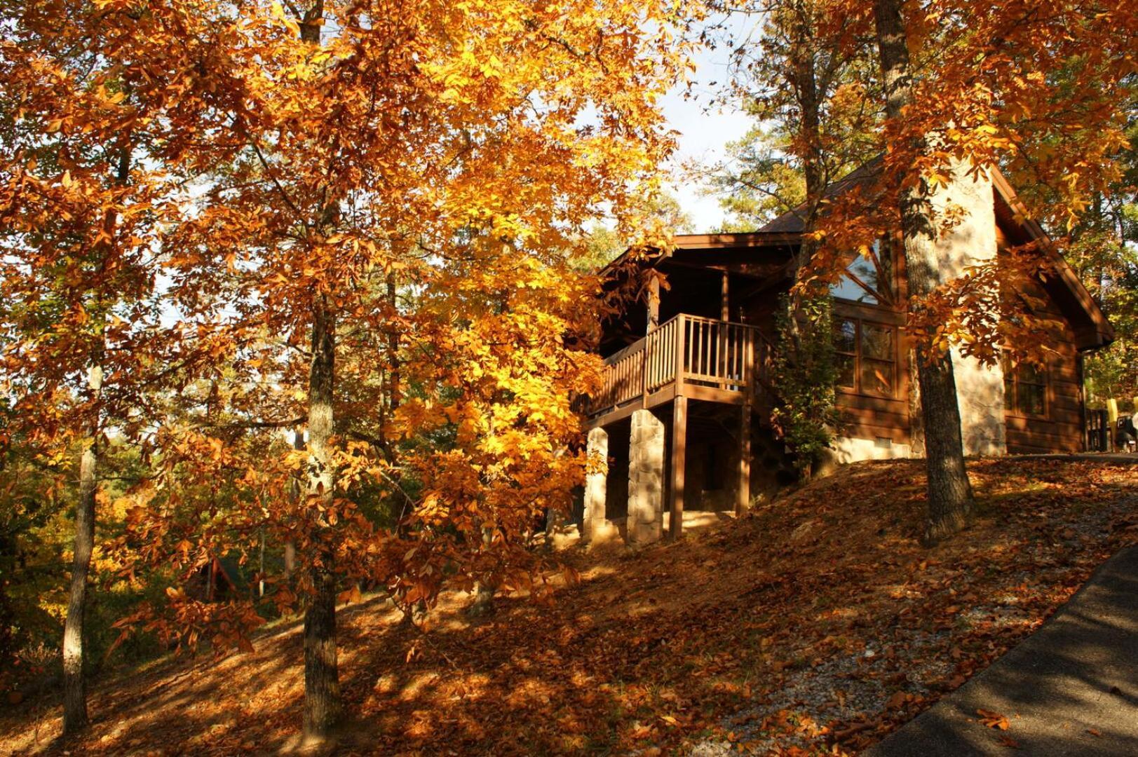 Cozy 2br Just 10 Min To Pkwy! Holiday home