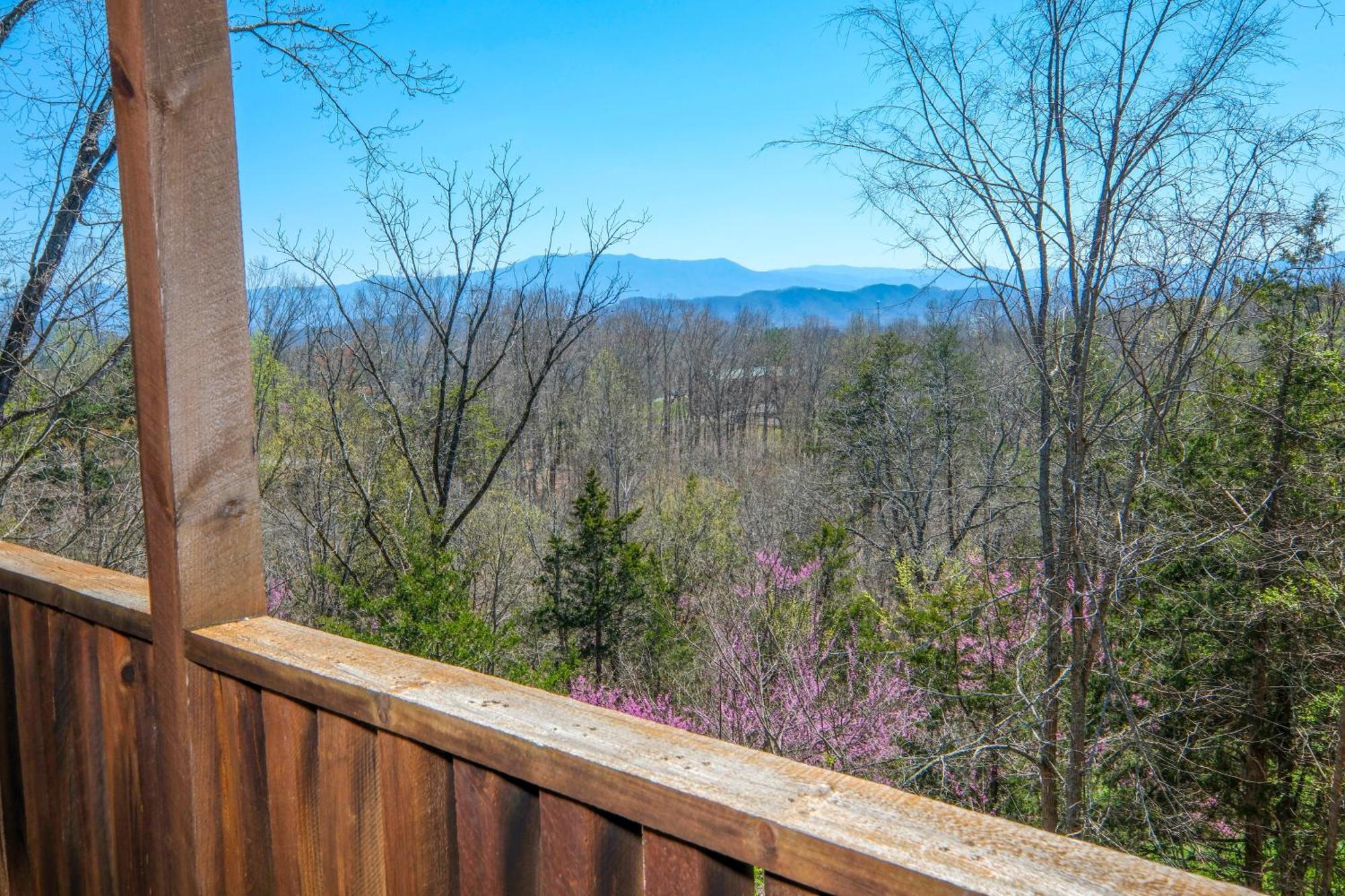 Spacious 6br Views Gameroom Theater Hot Tub Free Attraction Tickets Holiday home