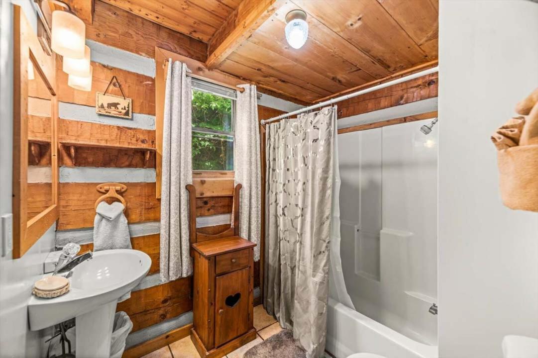 Black Bear's Den By Colonial *