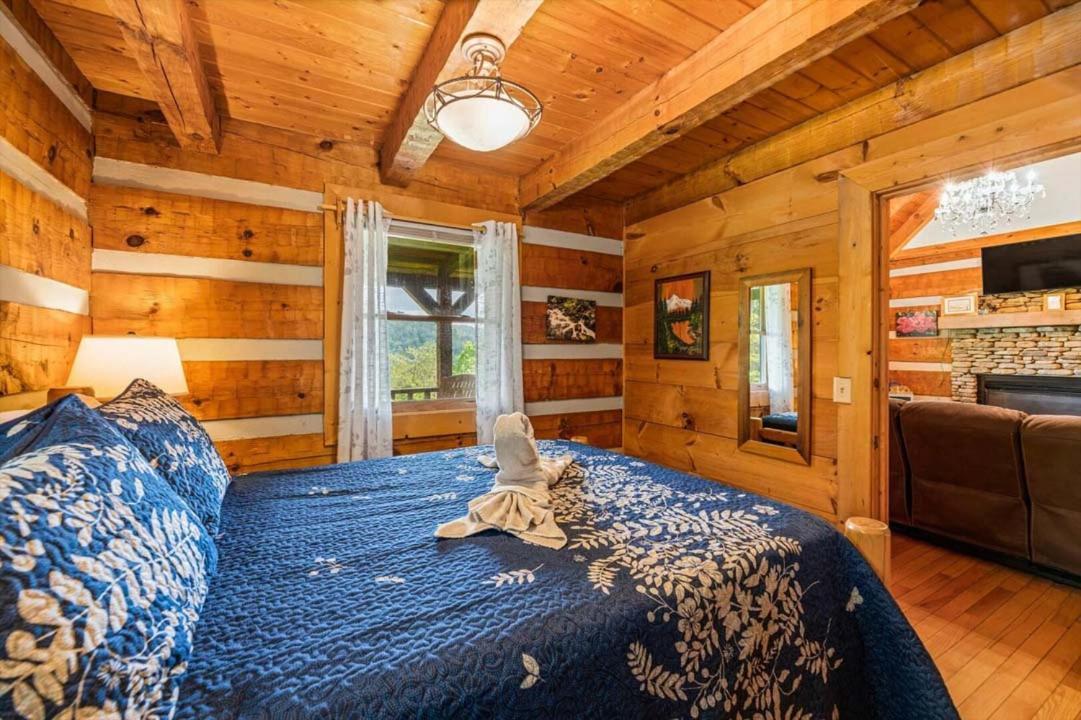 Black Bear's Den By Colonial