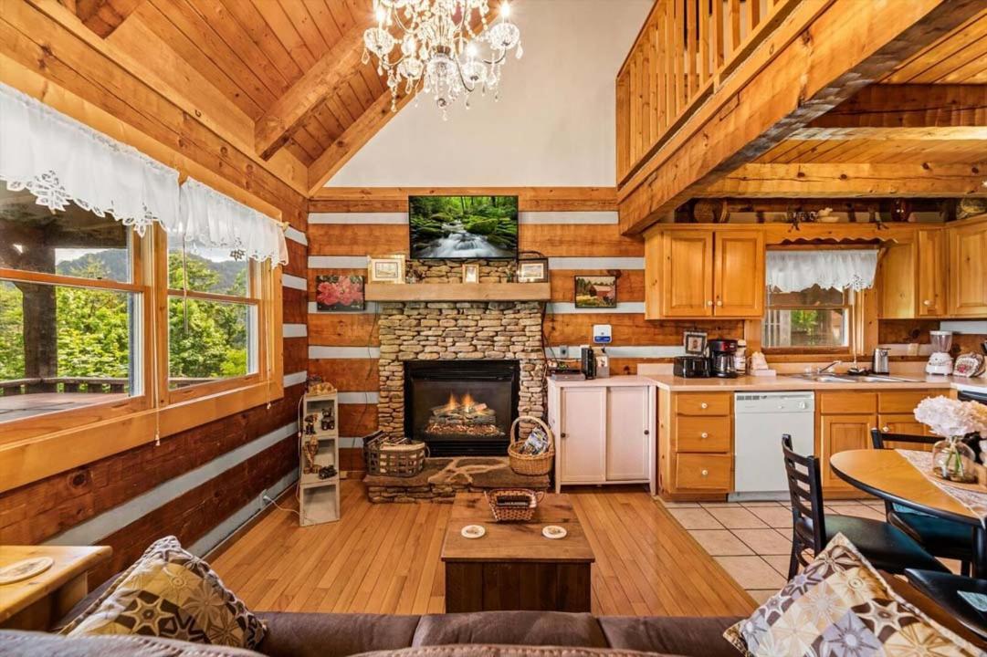Black Bear's Den By Colonial Pigeon Forge
