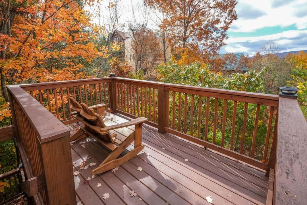 Beauty And The Bear By Colonial Properties *